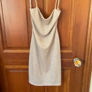 windsor shimmery dress